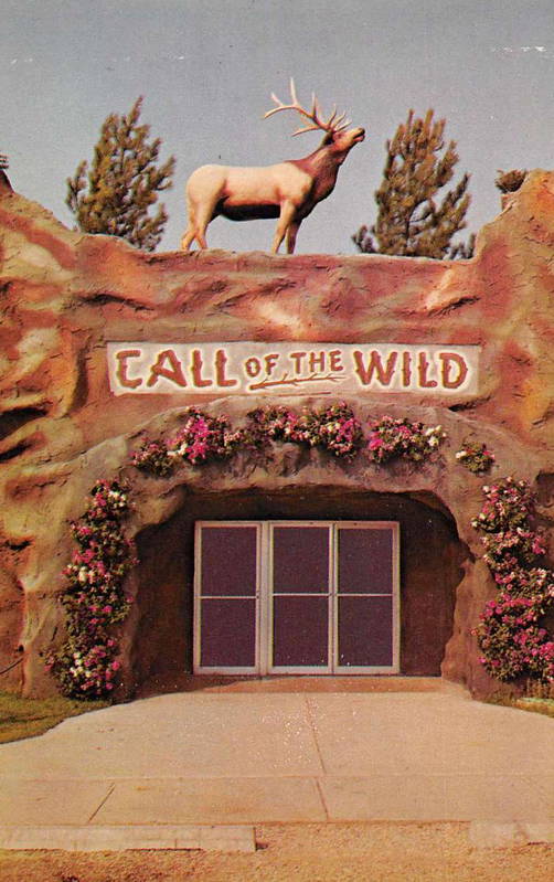Call of the Wild - Vintage Promo Material